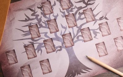 Organize Your Family Tree For Your Family Reunion