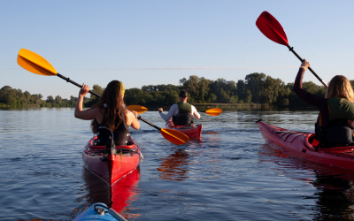 corporate team building activities